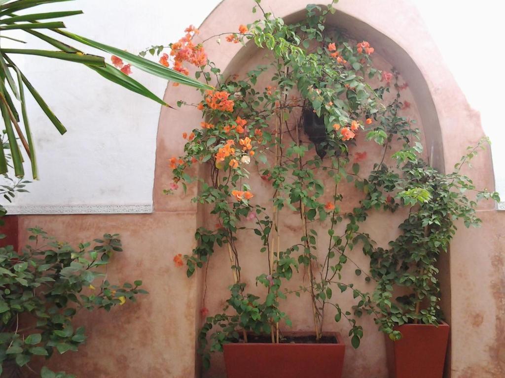 Ryad Dar Ganou Marrakesh Eksteriør bilde